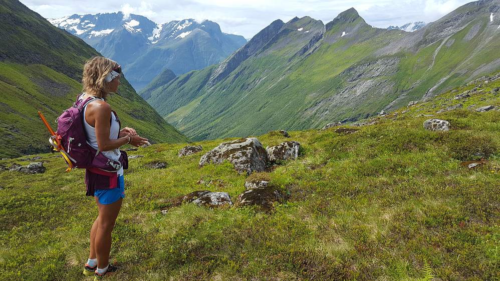 Utsikt ned Grøtdalen/Urkedalen m/Saksa i bakgrunnen