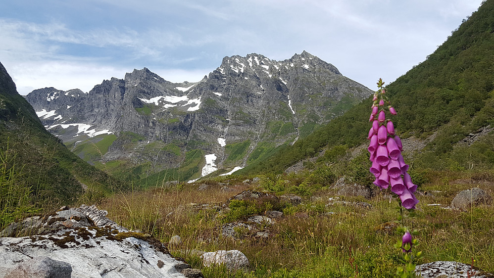 Tilbakeblikk mot Urkedalstinden