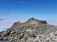 JoSo_20190807_5d4b2eea72315.jpg