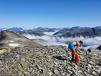 JoSo_20190807_5d4b32c828c04.jpg