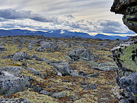 JoSo_20190903_5d6ec467c2cc2.jpg