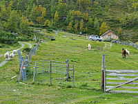 JoSo_20190913_5d7c0db9c8d7f.jpg