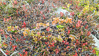 JoSo_20190914_5d7c1e47bc4b0.jpg