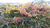 JoSo_20190914_5d7c1e48c281e.jpg