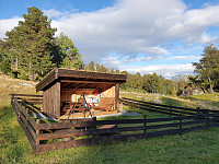 JoSo_20190925_5d8bdb2b5d125.jpg