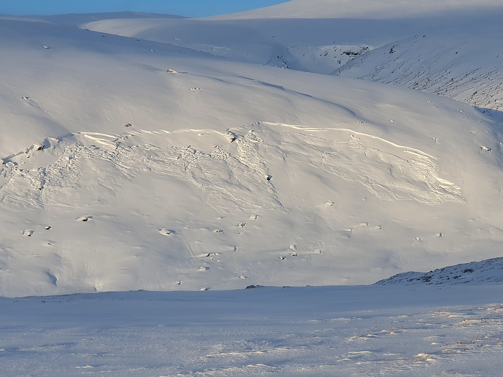 Rasfarlige dager - ferskt ras midt i den normale nedfartsløypa fra Ådalen...