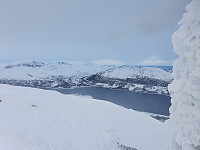JoSo_20191216_5df72969944d3.jpg