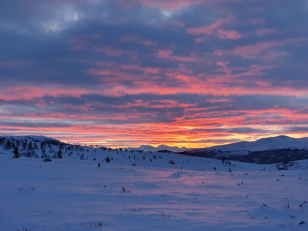 Vakker desemberhimmel mot øst & soloppgang :)