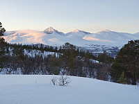 JoSo_20191228_5e070dda8f845.jpg