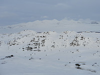 JoSo_20200117_5e22025521491.jpg