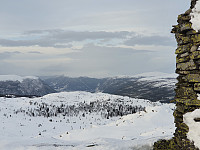 JoSo_20200117_5e22025728560.jpg