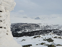 JoSo_20200117_5e2202584d2b7.jpg