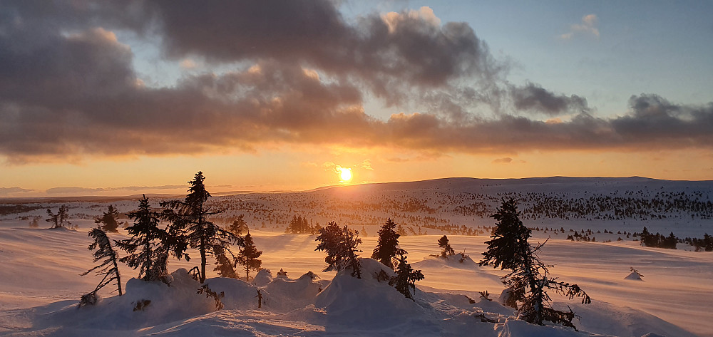 Vinterstemning på Sjøsæterfjellet