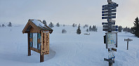 JoSo_20200117_5e2205b35bbd4.jpg