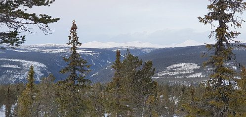 Litt utsikt - mot Venabygdfjellet