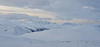 JoSo_20200117_5e220d4fa3b21.jpg