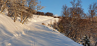 JoSo_20200117_5e22109fe7198.jpg