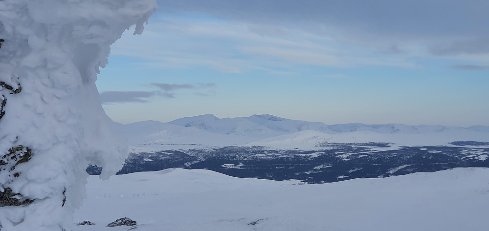 Snøhetta- og Svånåtindmassivet sett fra Ståkåhøe