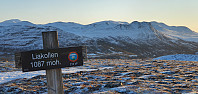 JoSo_20200117_5e221a50e4a08.jpg