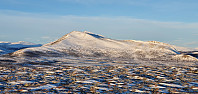 JoSo_20200117_5e221a52279ff.jpg