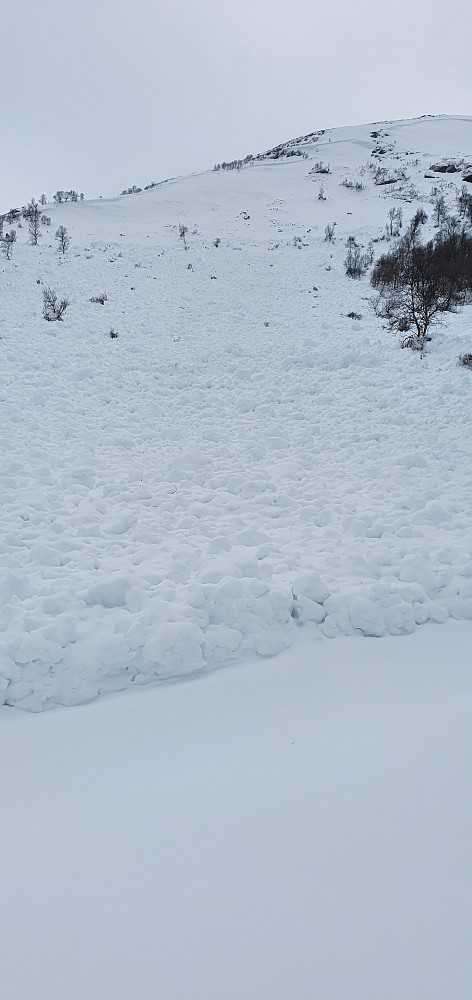 Snøskred helt ned til skiløypa - men kontrollert/sprengt ut fra området hvor 2 skiløpere utløste et noe mindre skred for et par dager siden ("Paradis" i Skjørstadhovden)
