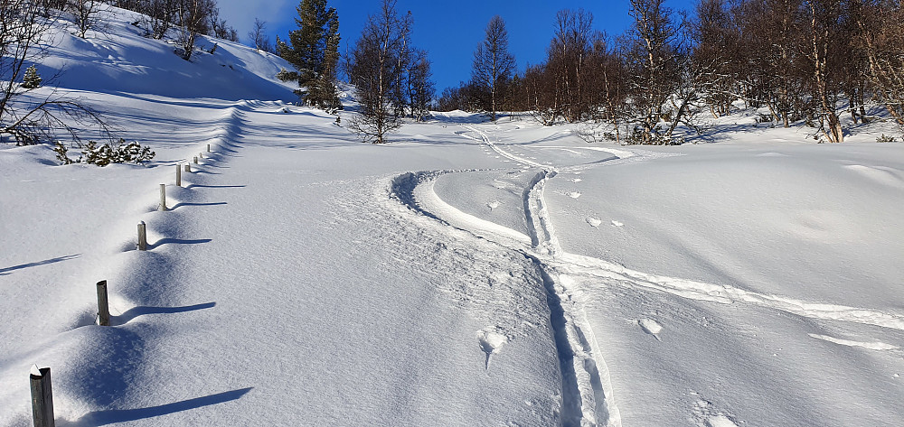Et kortvarig opphold mellom snøbygene..