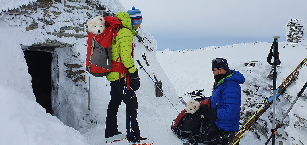Mitt første møte med "SNØSTORM" - SNØ i sekken til venstre og STORM i sekken til høyre :-) Sammen med sine eiere Oddveig & Egil.