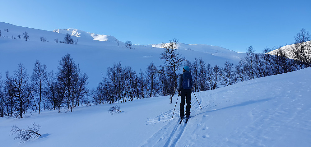 Lovende forhold for en fin skitur i fjellområdet sør for Storlidalen :)