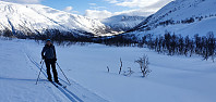 JoSo_20200312_5e6aa09e94956.jpg