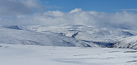 JoSo_20200320_5e753f9f67962.jpg