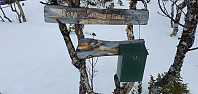 JoSo_20200320_5e753fa053f45.jpg