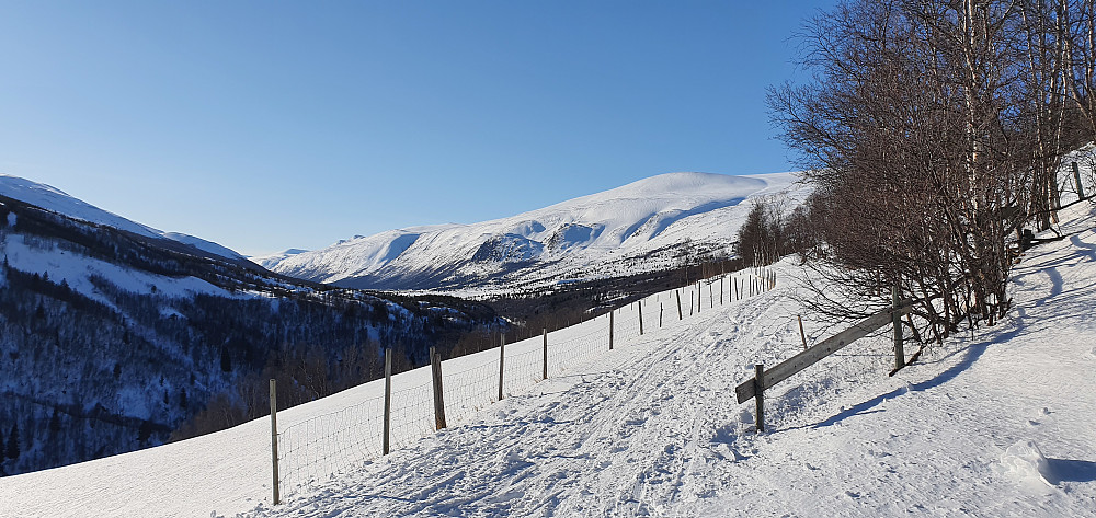 Finndalen sett fra vinterparkeringen ved Nørdre Øyagarden