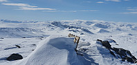JoSo_20200412_5e9381f674ff0.jpg