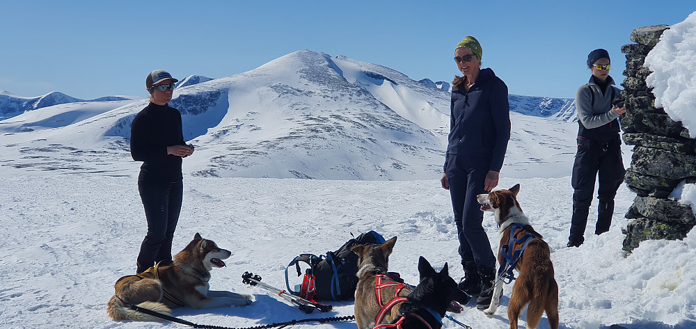 Solveig, Ellen, Tone og 4 hunder :) Snøhetta i bakgrunnen