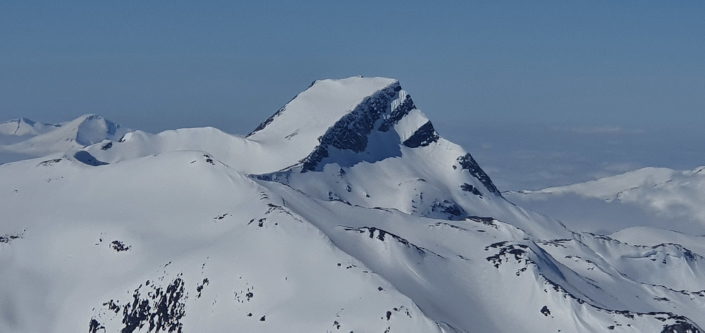 Neådalssnota