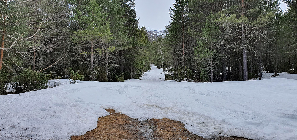 Mye snø fortsatt - her fra p-plass.
