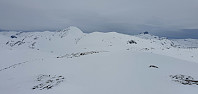 JoSo_20200508_5eb5d163e3651.jpg