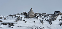 JoSo_20200515_5ebed42235cd2.jpg