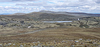 JoSo_20200720_5f15390fa8ba8.jpg