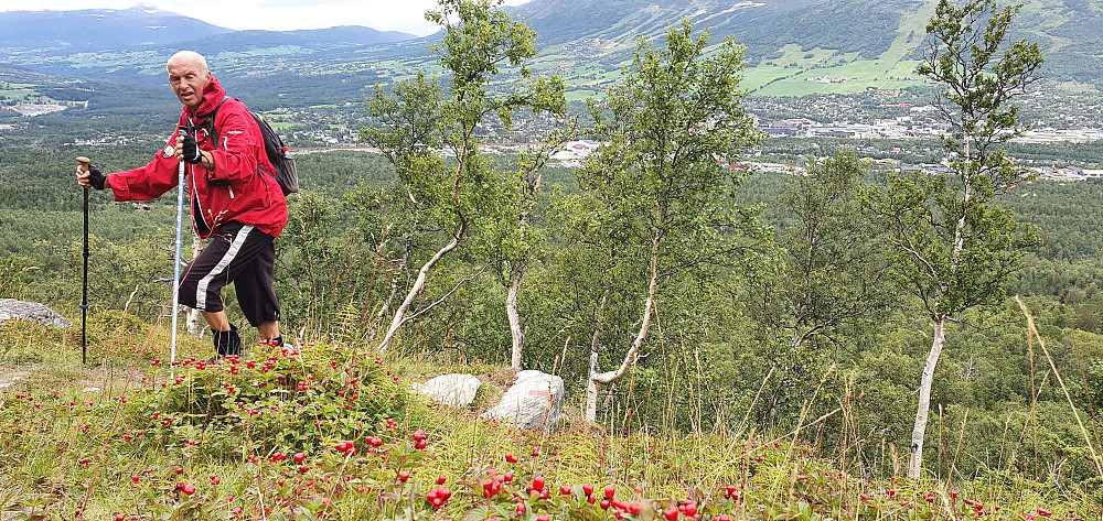 Inge Bertil går til Allmannberget stort sett hver dag i sommerhalvåret. Vi har avtalt at jeg skal få bli med på hans besøk nr 500 til toppen - engang neste sommer :)