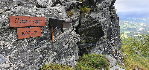 Skær-ryggen