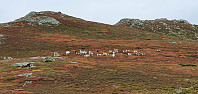 JoSo_20200923_5f6b940e9e315.jpg