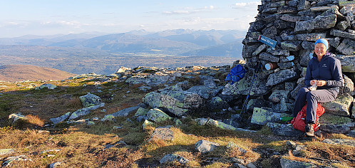 Hjelmen