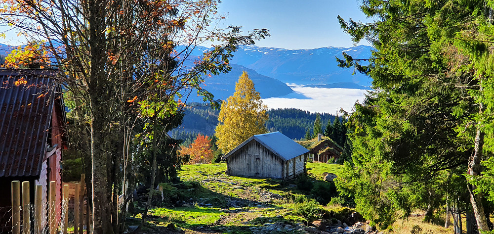 Høststemning ved Randastøylen. Tåketeppe nede ved fjorden..