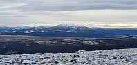 JoSo_20201107_5fa71a2b70a6d.jpg