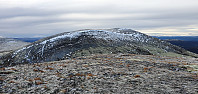 JoSo_20201107_5fa71a2c87a09.jpg