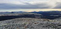 JoSo_20201107_5fa71a2dc4152.jpg