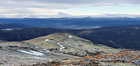 JoSo_20201107_5fa71a3135778.jpg