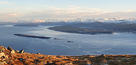 JoSo_20201215_5fd7f905285f6.jpg
