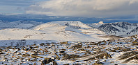 JoSo_20201222_5fe21ca99bb9a.jpg